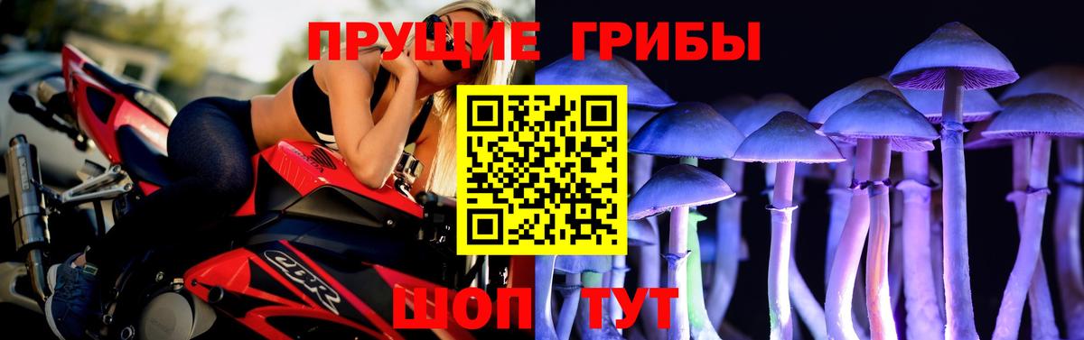 Псилоцибиновые грибы мухоморы Заводоуковск